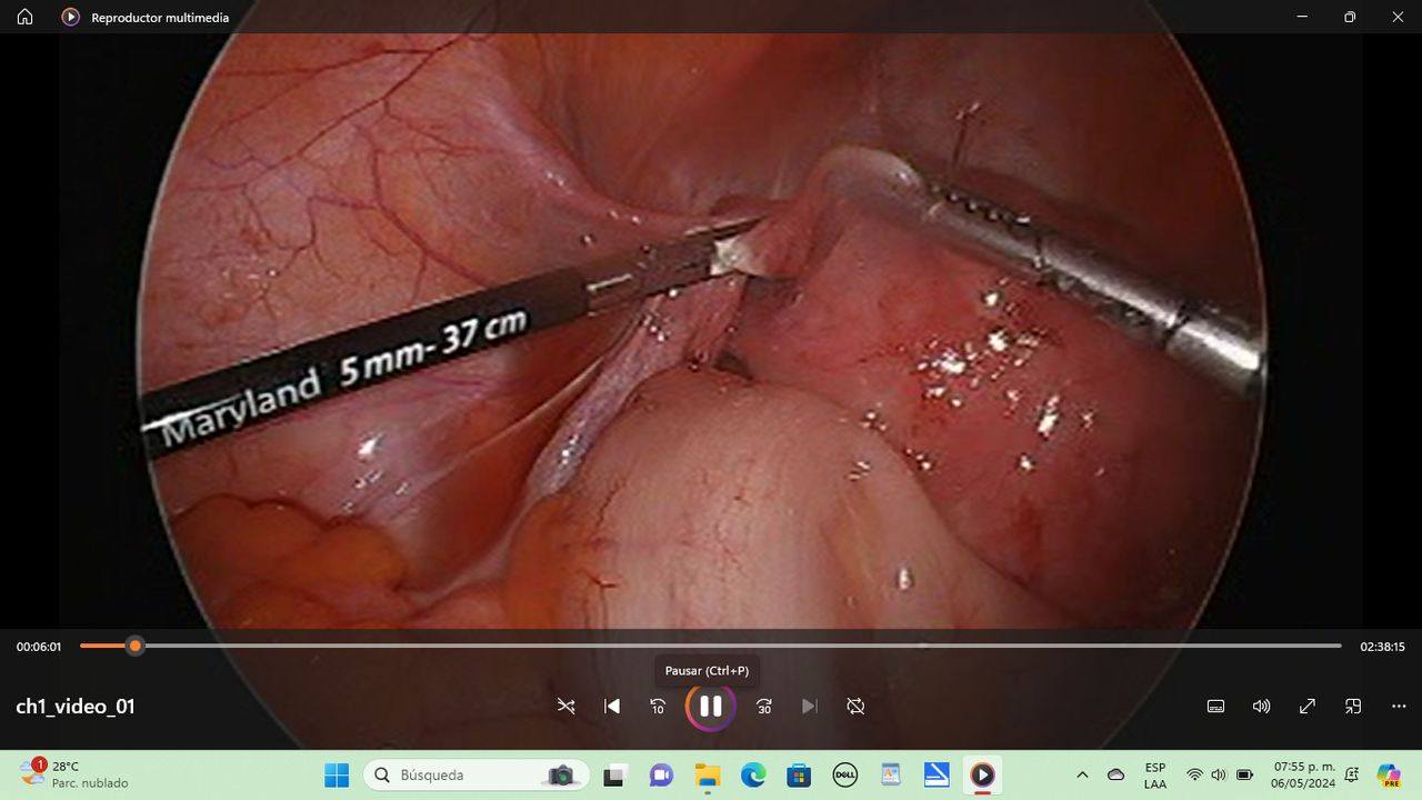 Manuel Pérez Morales-0