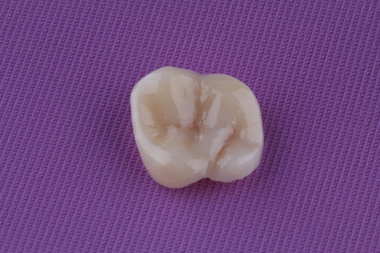 Iliana Astorga Avilez-12