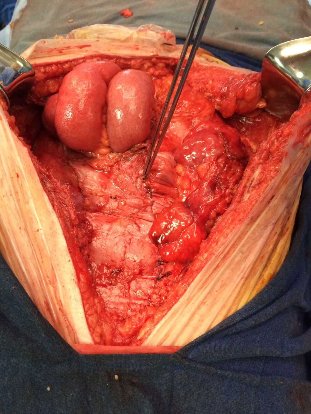 Mateo Ponciano Guerrero-13