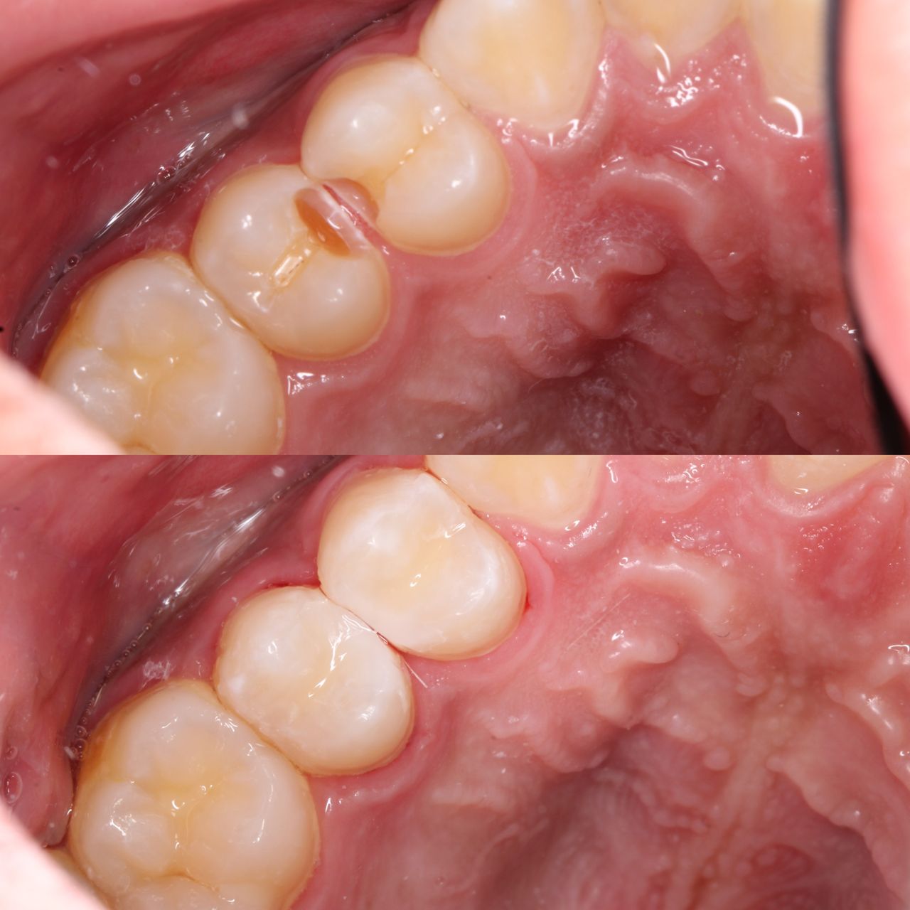 Alejandra Sujey Chávez Rodríguez-5