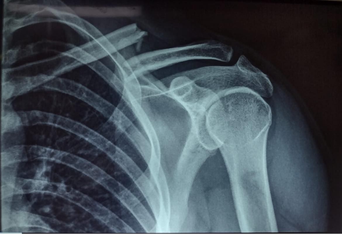 Felix Alfaro Arias-10