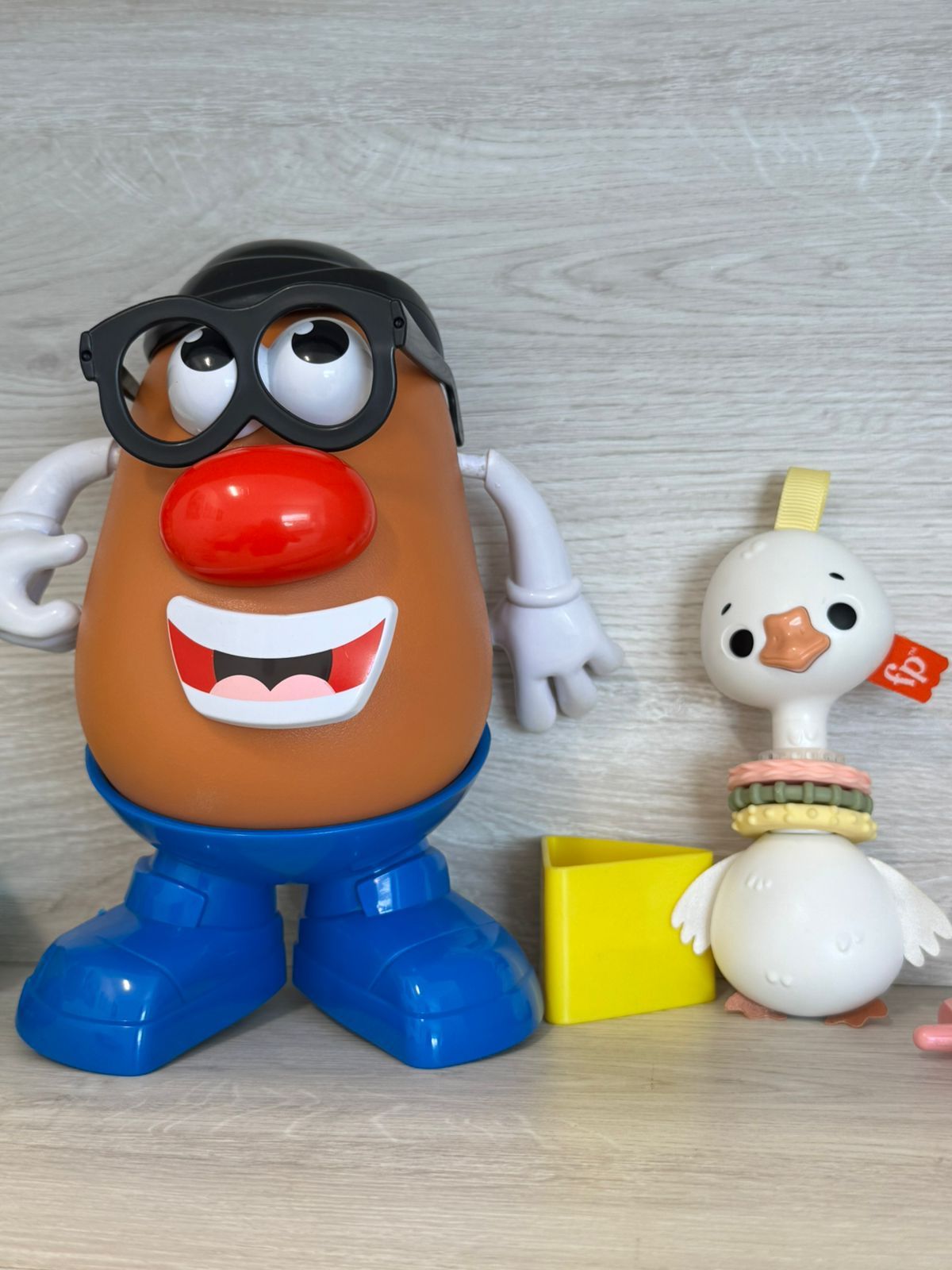 Vivian González De Los Ángeles-4