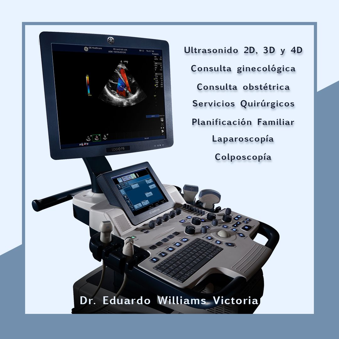 Eduardo Williams Victoria-0