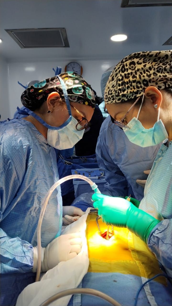 Aidée León Rodríguez-0