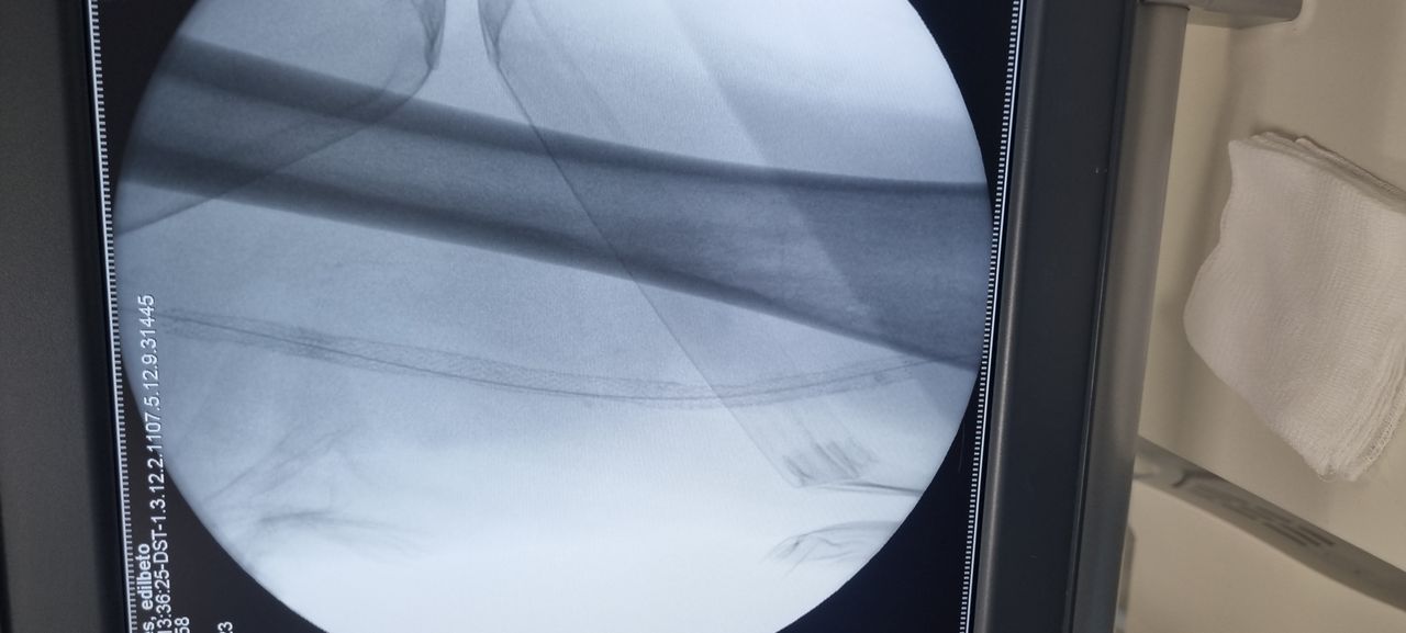 Ivan Delgadillo De La O-1