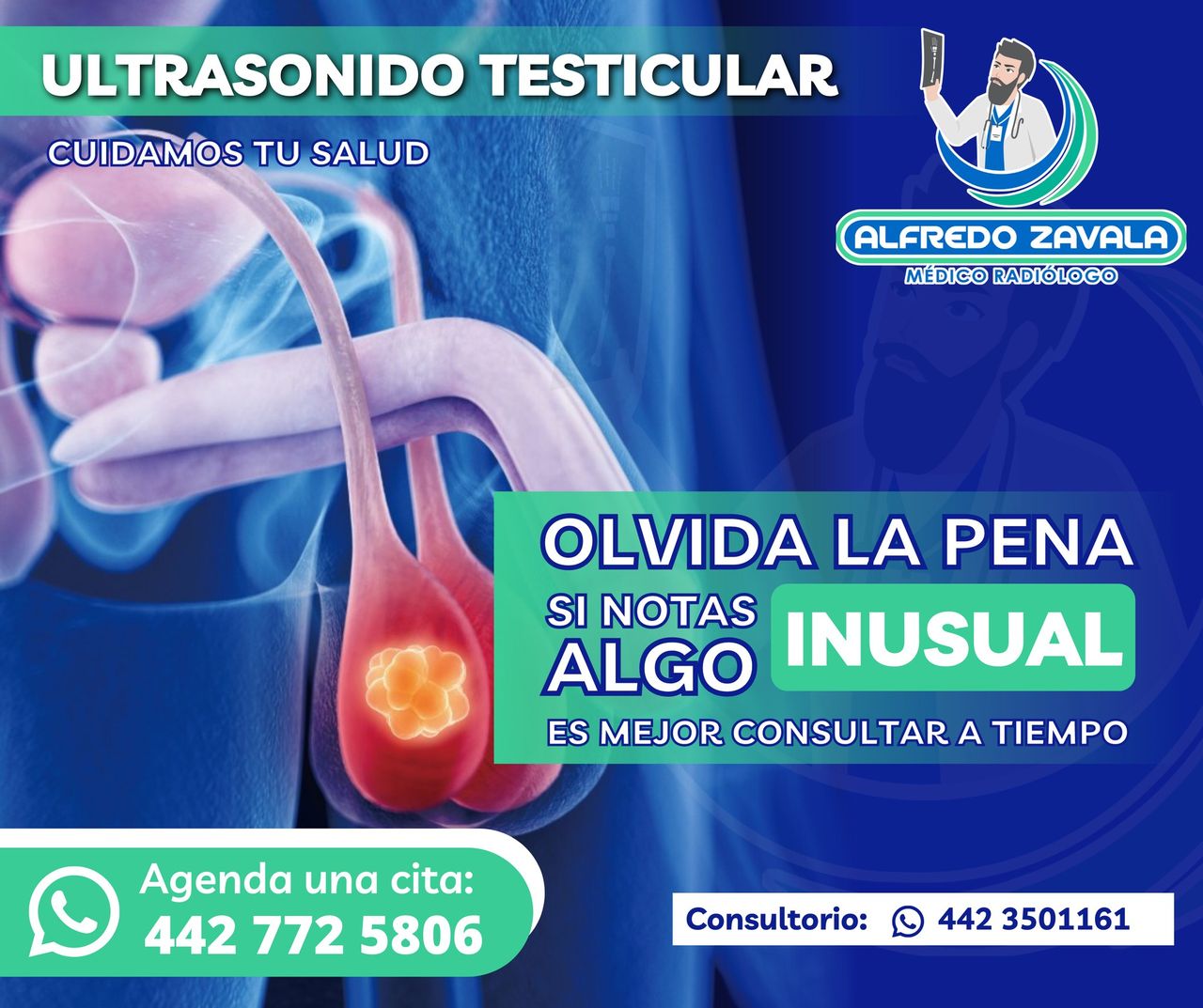 Alfredo Zavala Pardo-22