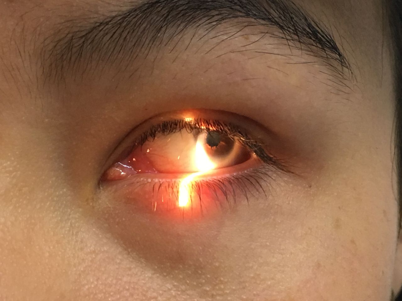 Rosa Elena De La Torre Castro-47