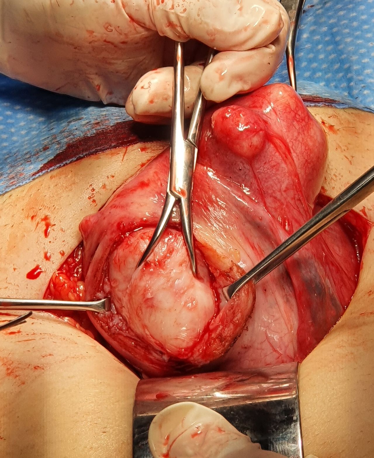 Martha Helena Cabezas Pérez-19