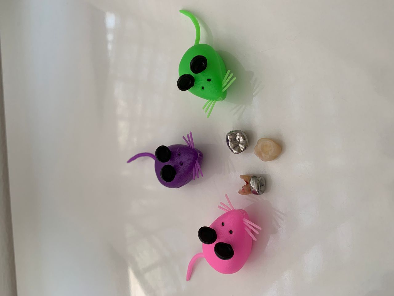 José Manuel Castro Rodríguez-10