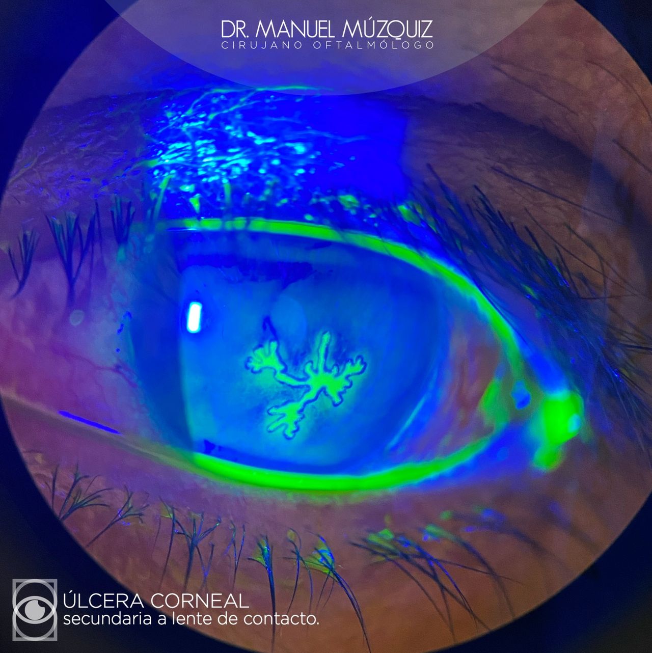 Manuel Alejandro Muzquiz Jimenez-12