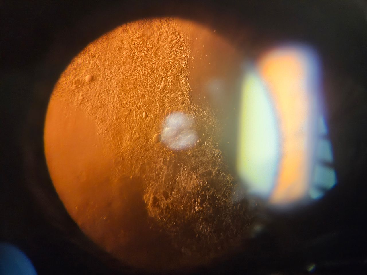 Francisco Ventura Rodríguez-4