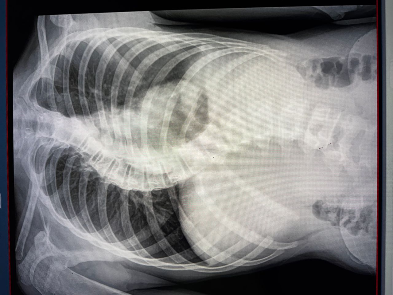 Luis Fernando Cortés Torres-6