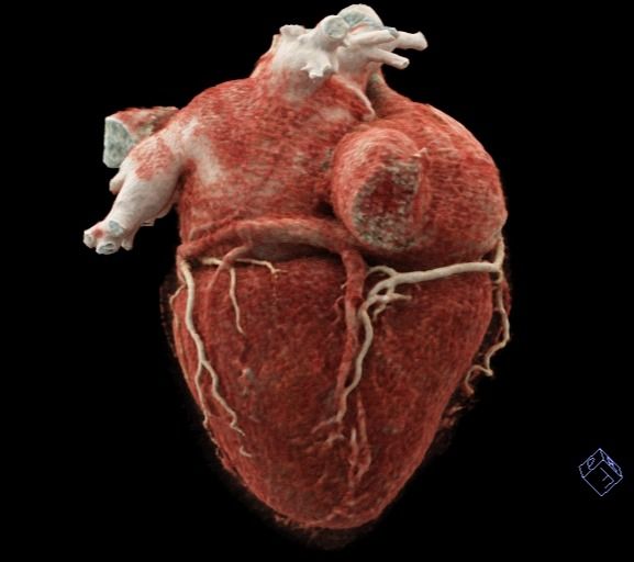 Miguel Franco Estrada-1