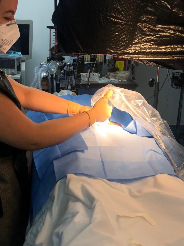 Cristina Isabel Almazan Chouza-16