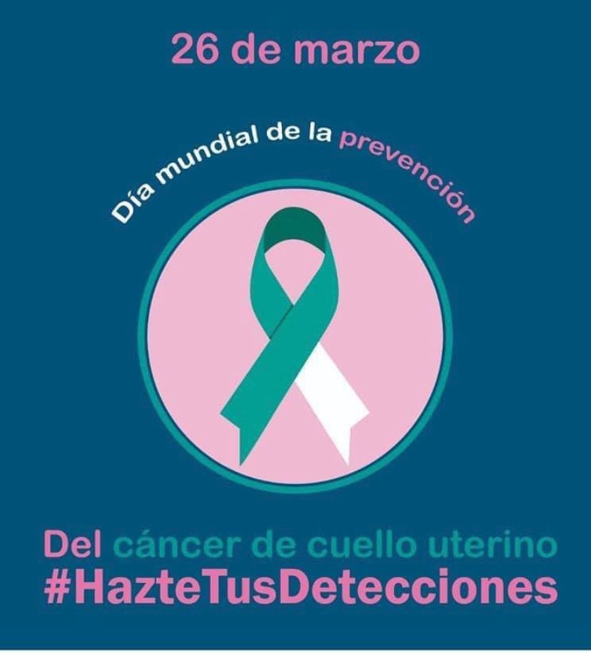 Cinthya Priscilla Castellanos Durán-7