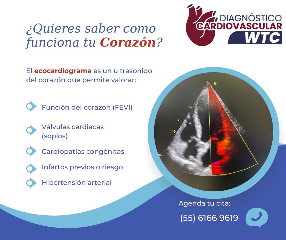 Luis Guillermo Burelo Lopez-12