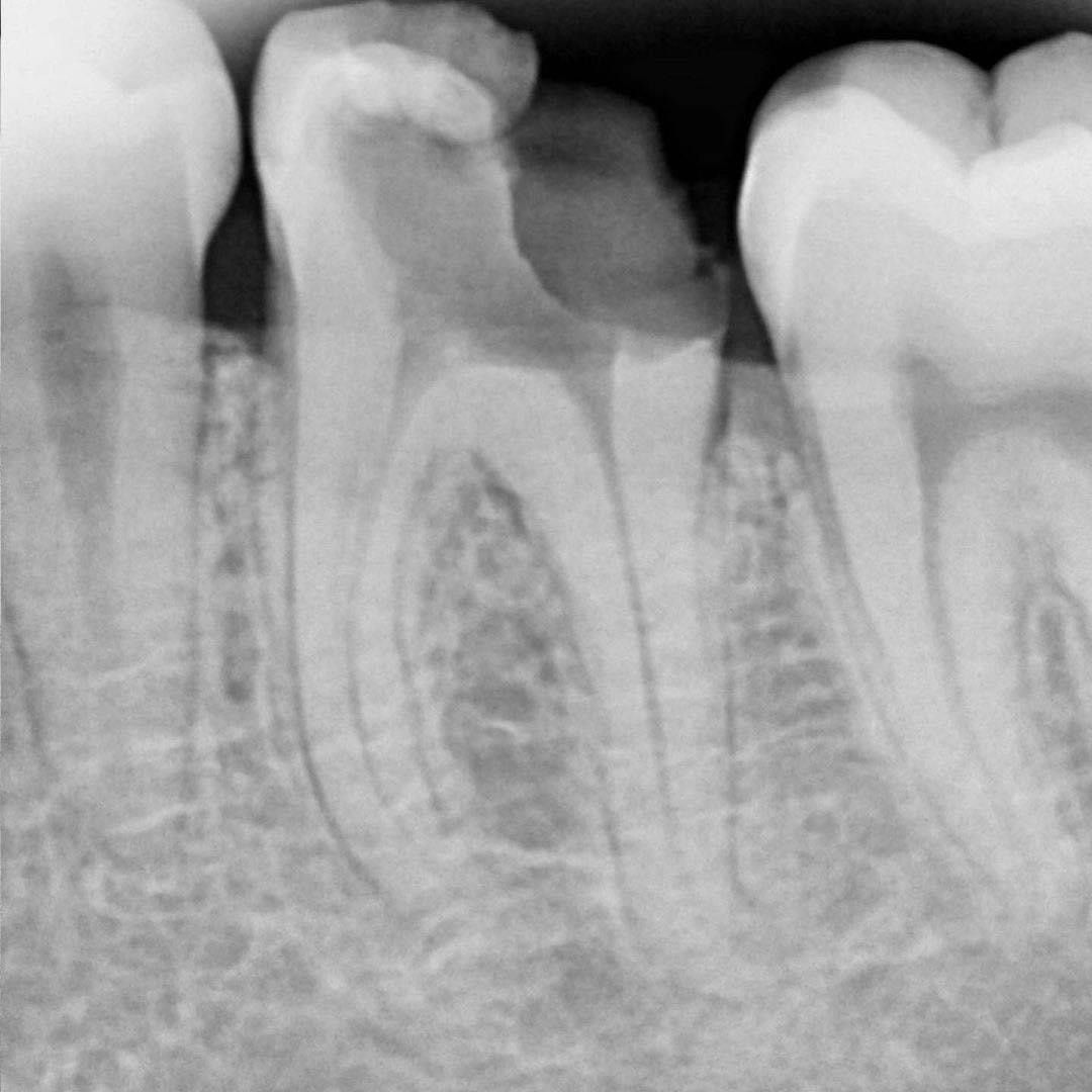 Esmeralda Candida Guerrero Pimentel-18