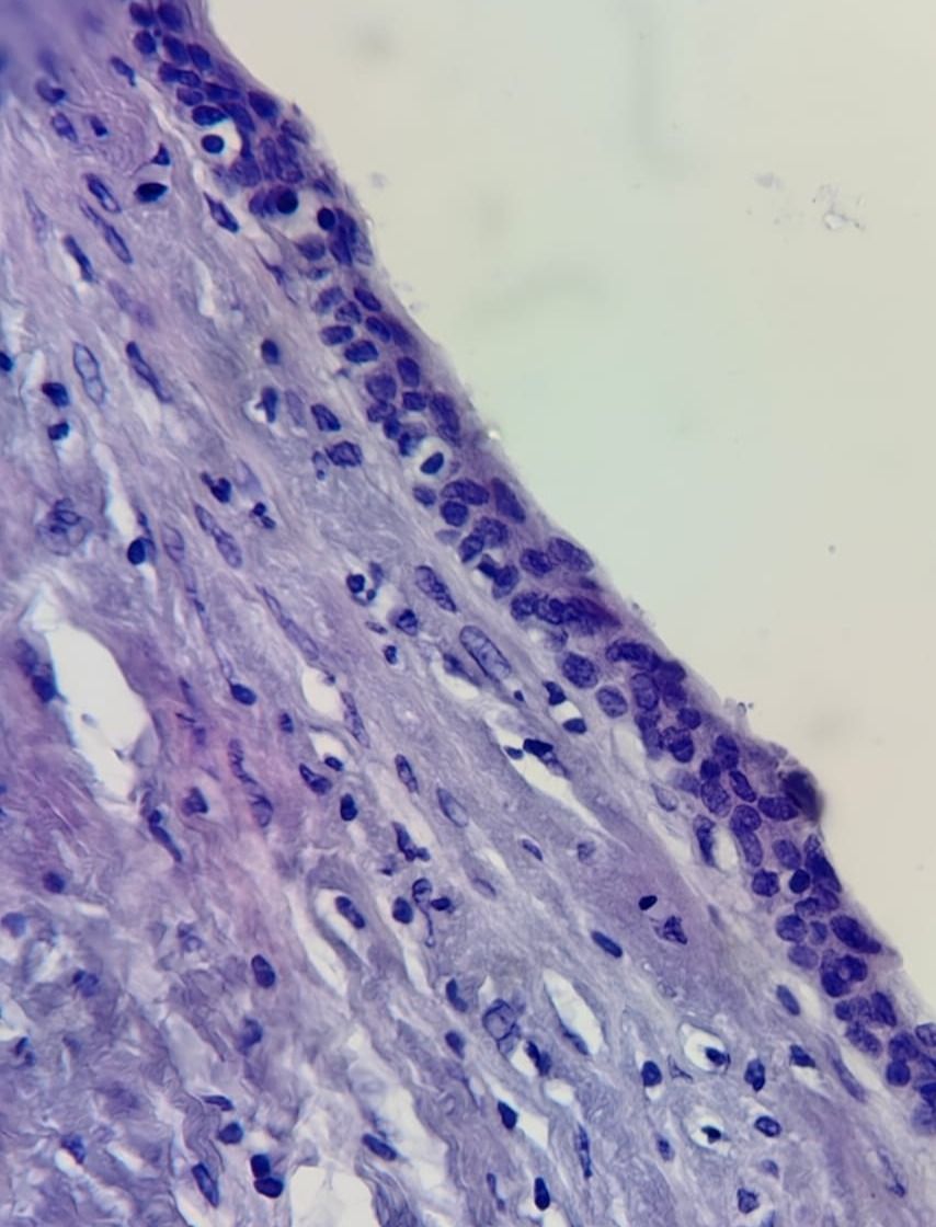 Rodrigo Magallón-11