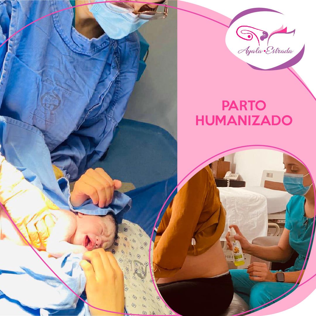 María Elena Estrada Ruiz-5