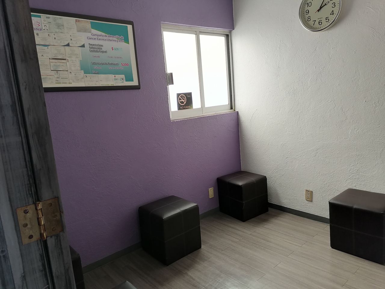 Alejandra Rivero Cedillo-3