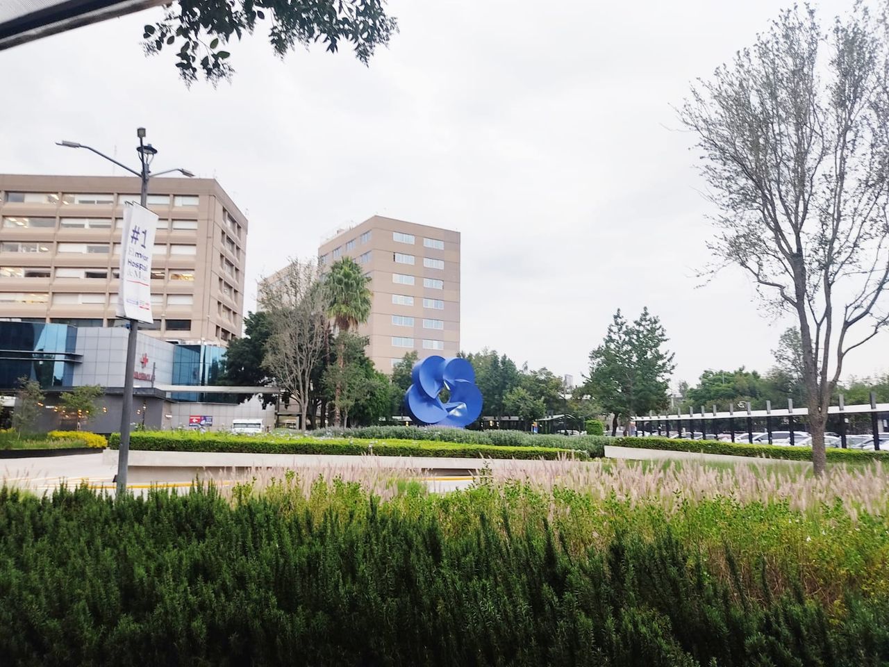 Etsel Camargo Romero-4