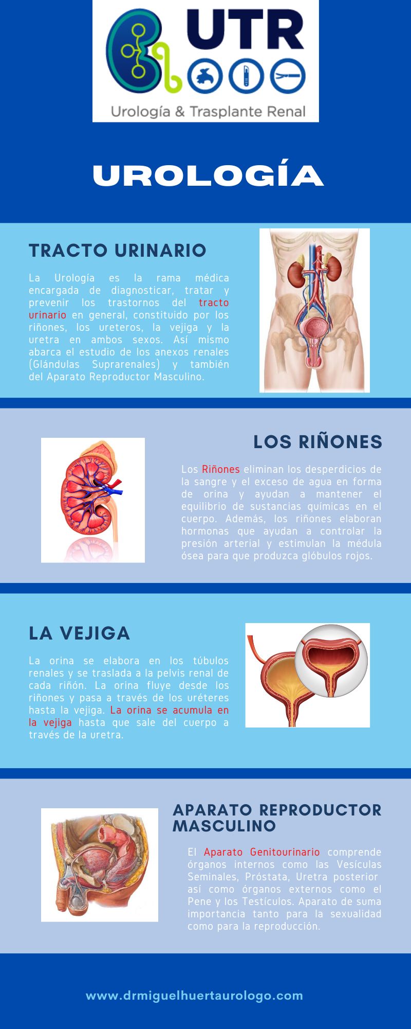 José Miguel Huerta Cervantes-2
