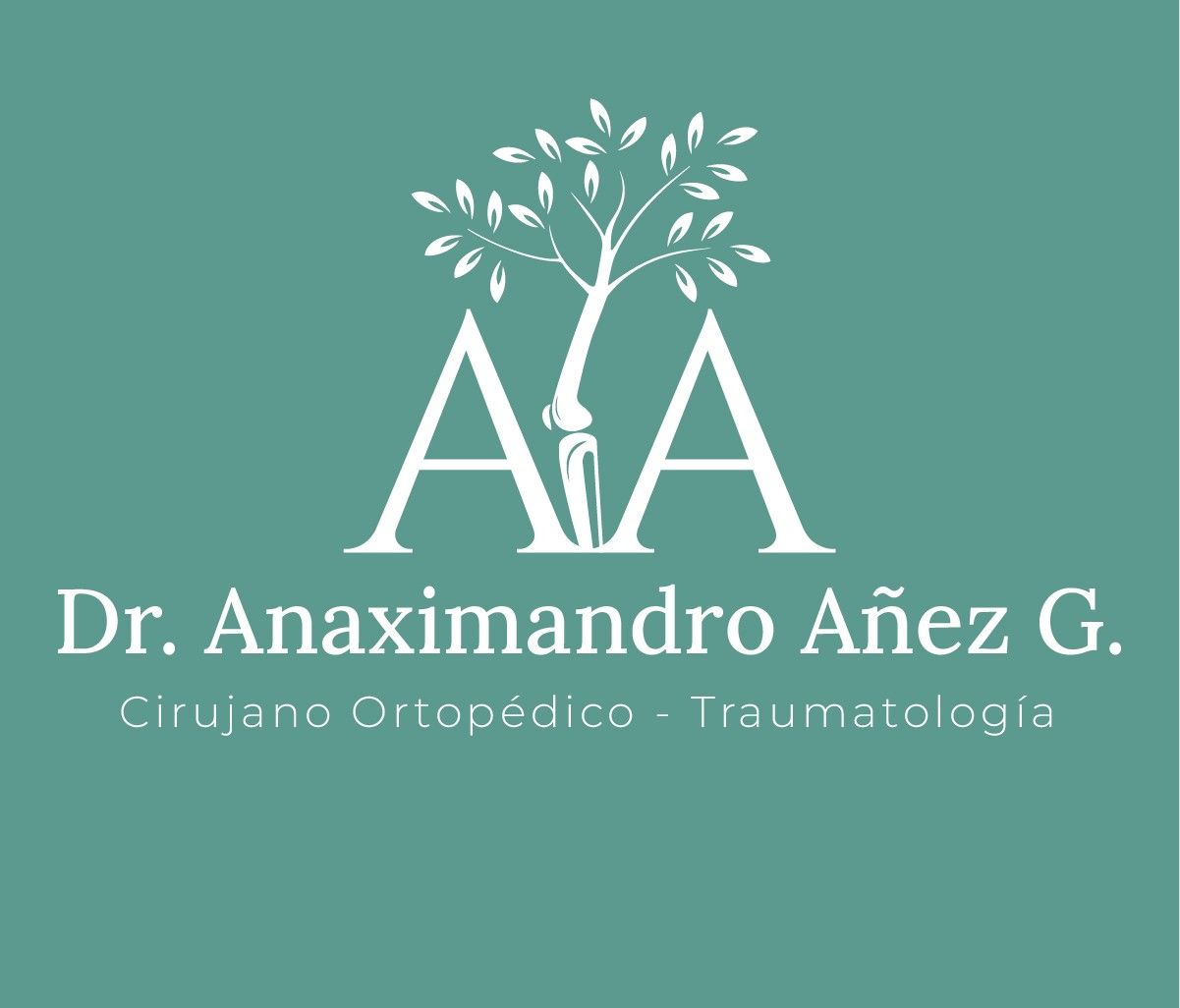 Anaximandro Añez Garcia-2
