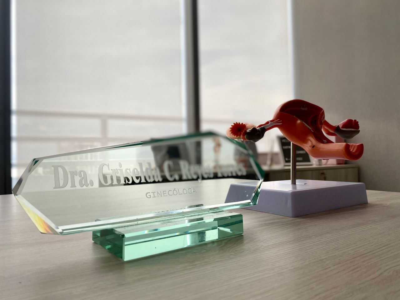 Griselda Reyes Torres-78