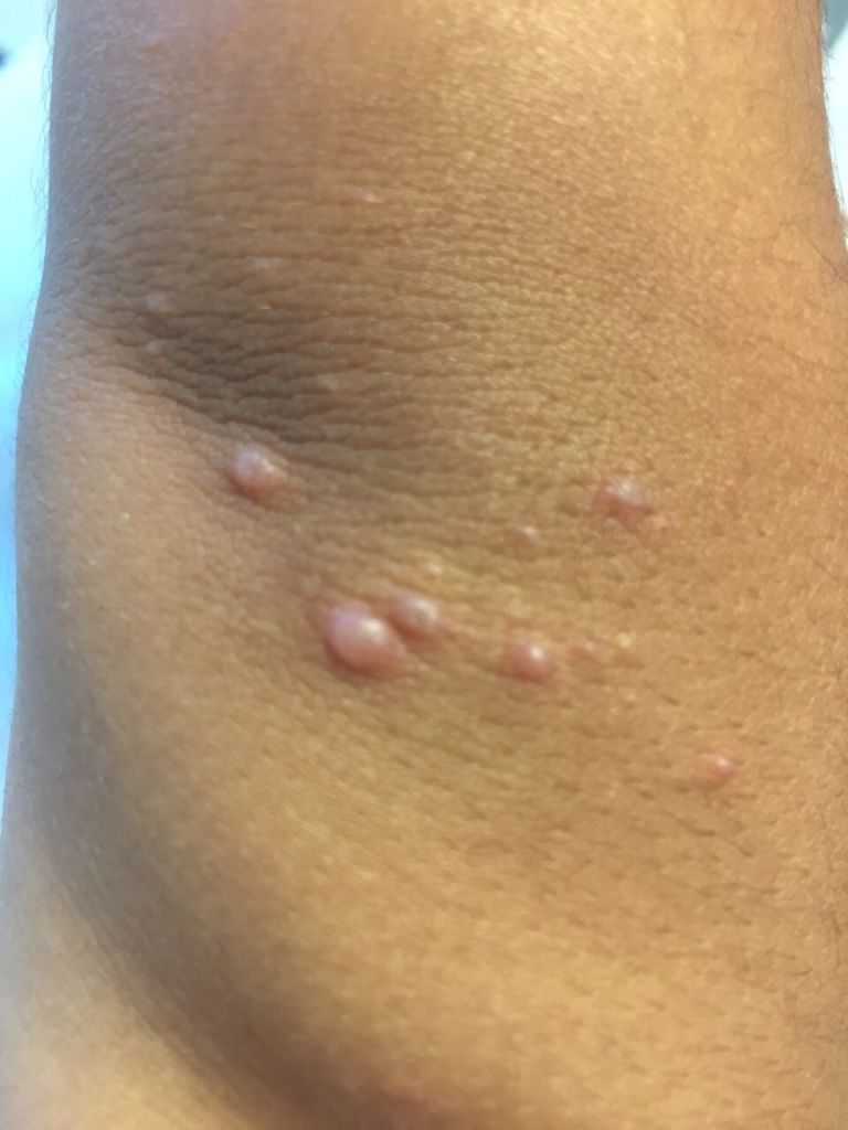 Virginia Susana Luna Magaña-3