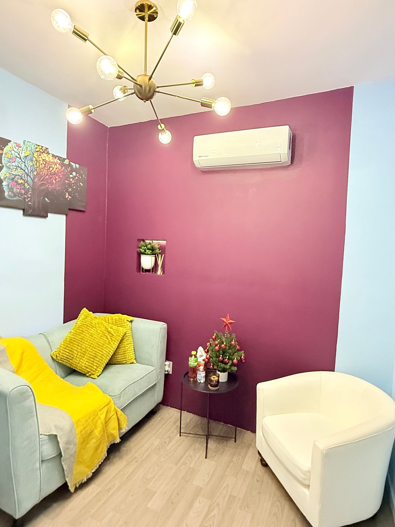 Antonio Junior Ibarra Salas-2