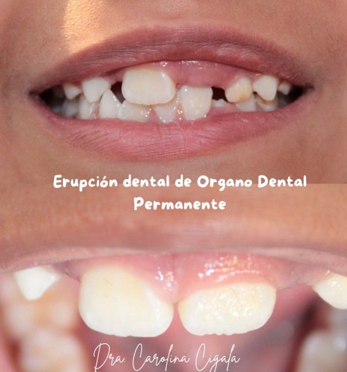 Sandra Carolina Cigala Martínez-26