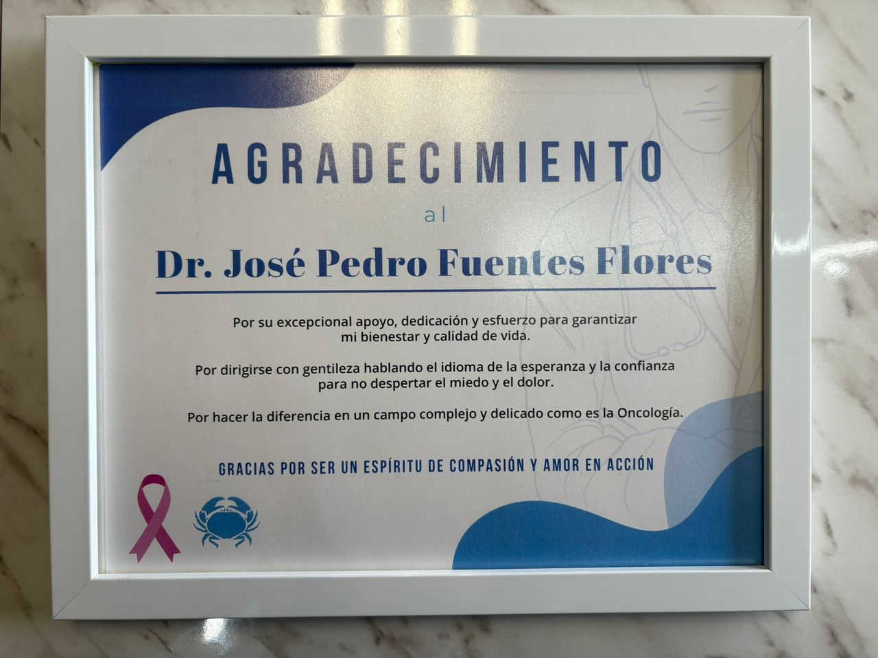 José Pedro Fuentes Flores-11