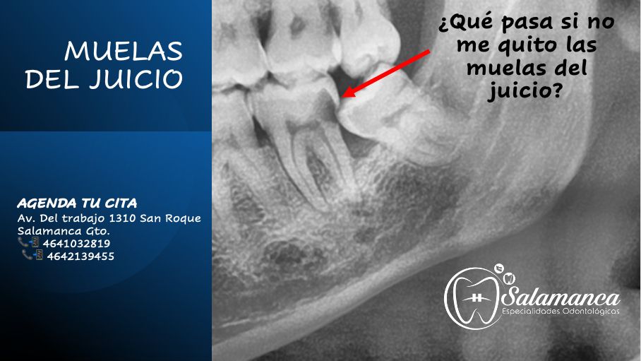 Edgar Antonio Zavala Alvarado-1