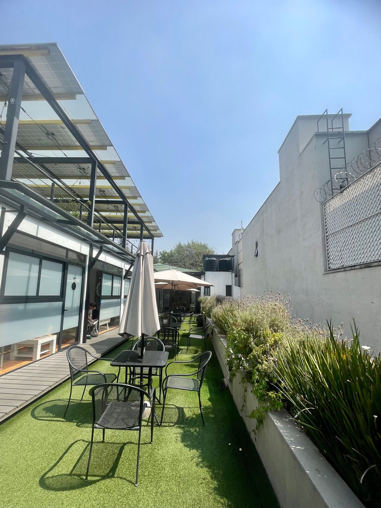 Ana Cecilia Vieyra Machado-1