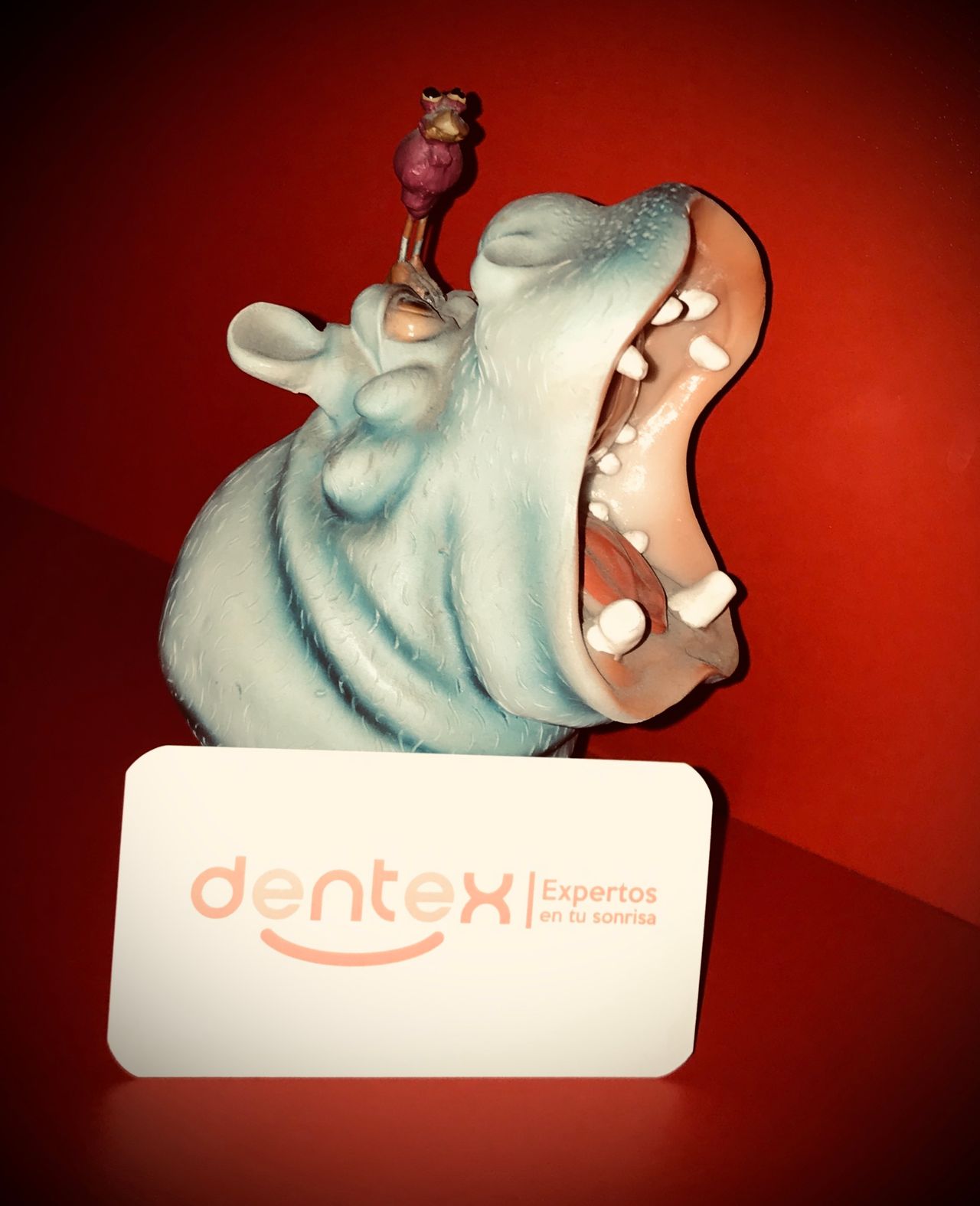 Ingrid Paola Bañuelos Chao-7