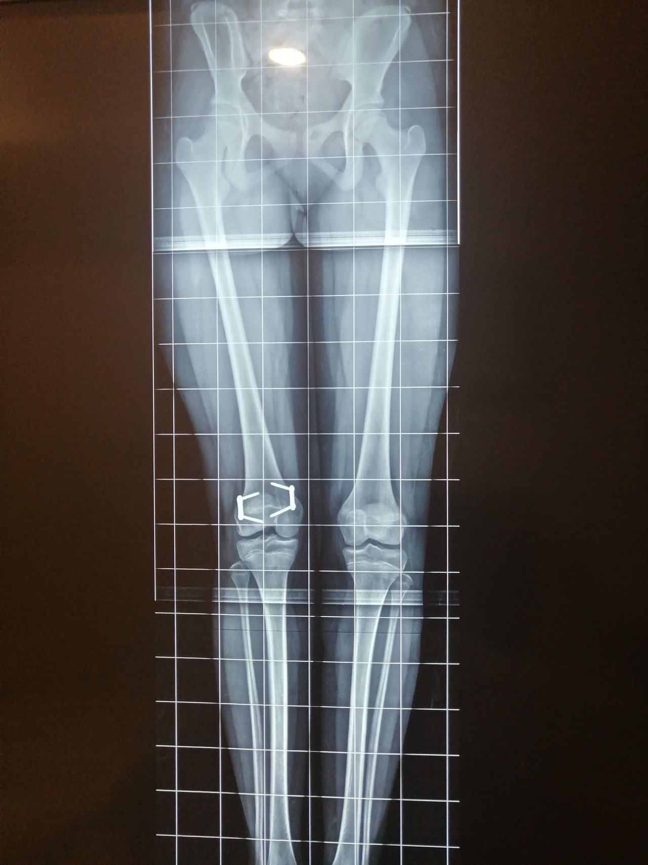 Jesús Guerra Jasso-14