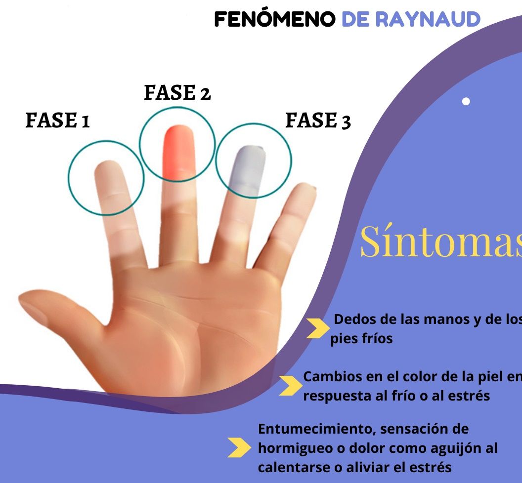 Oscar Gallegos Hernández-4