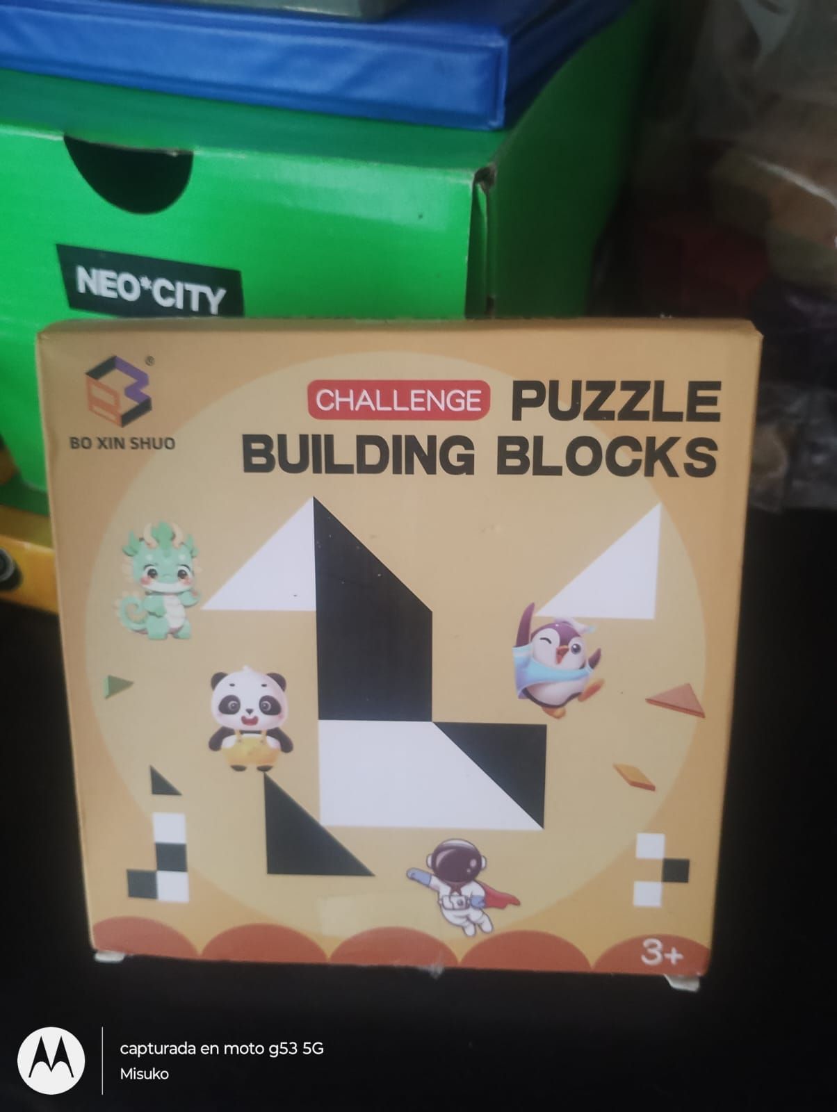 Ariana Belén Martínez González-2