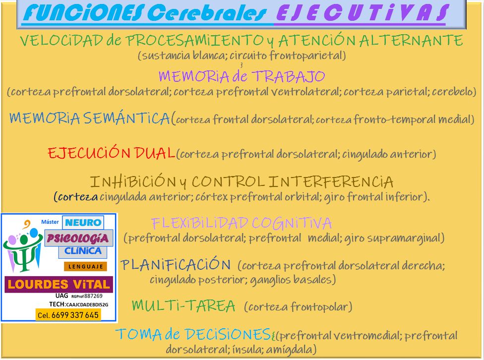 Maria De Lourdes Vital Martin-36