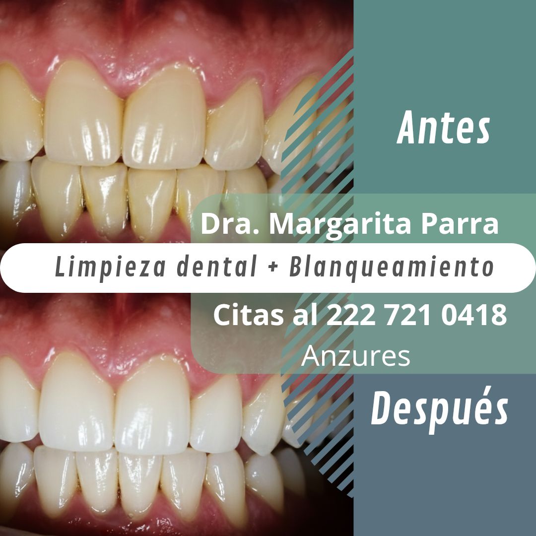 Margarita Estefania Parra Covarrubias-0