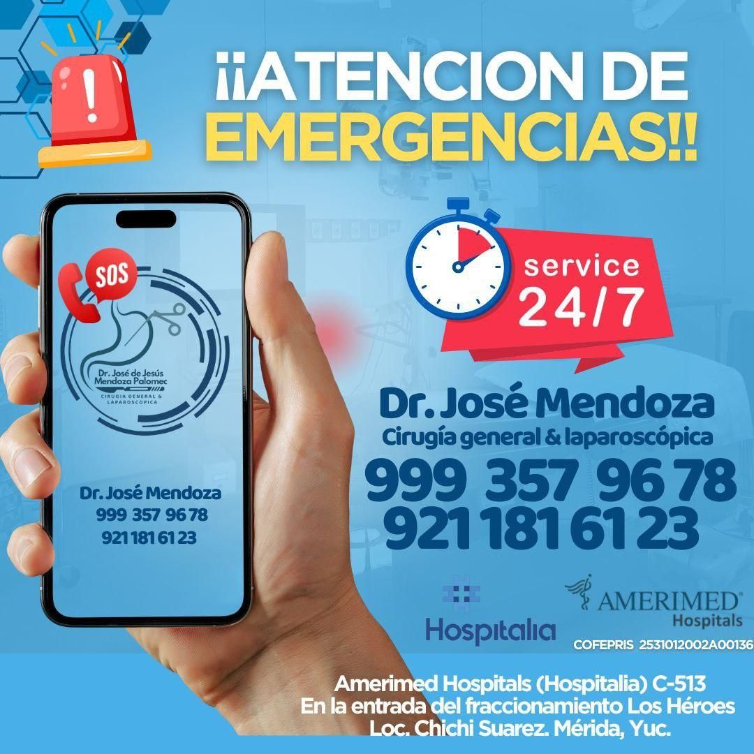 José De Jesus Mendoza Palomec-12