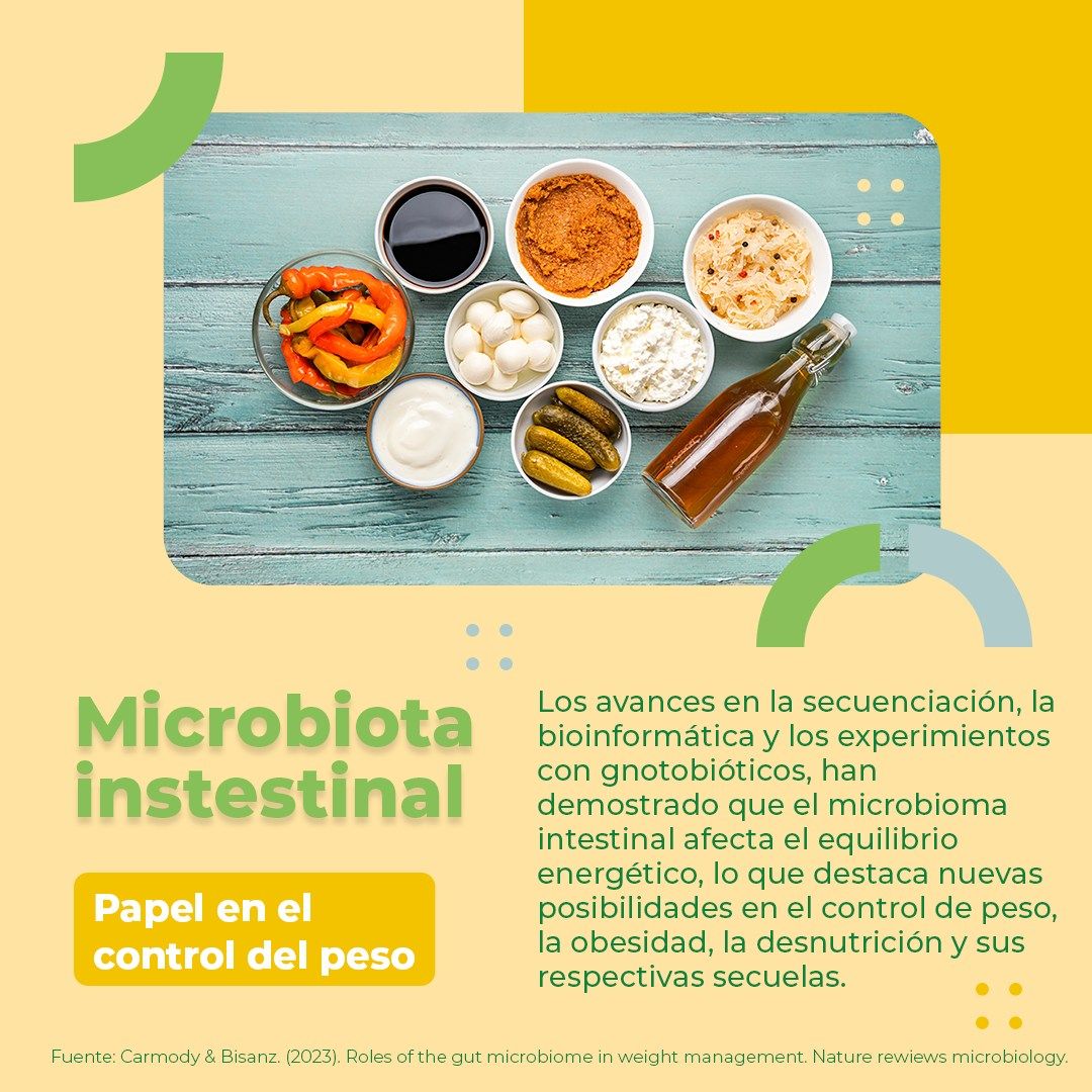 Evelyn Perez Trejo-43