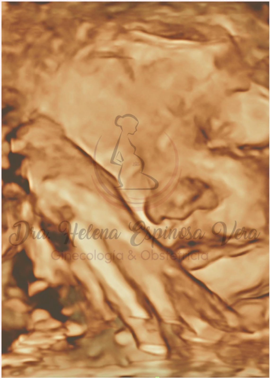 Helena Espinosa Vera-0