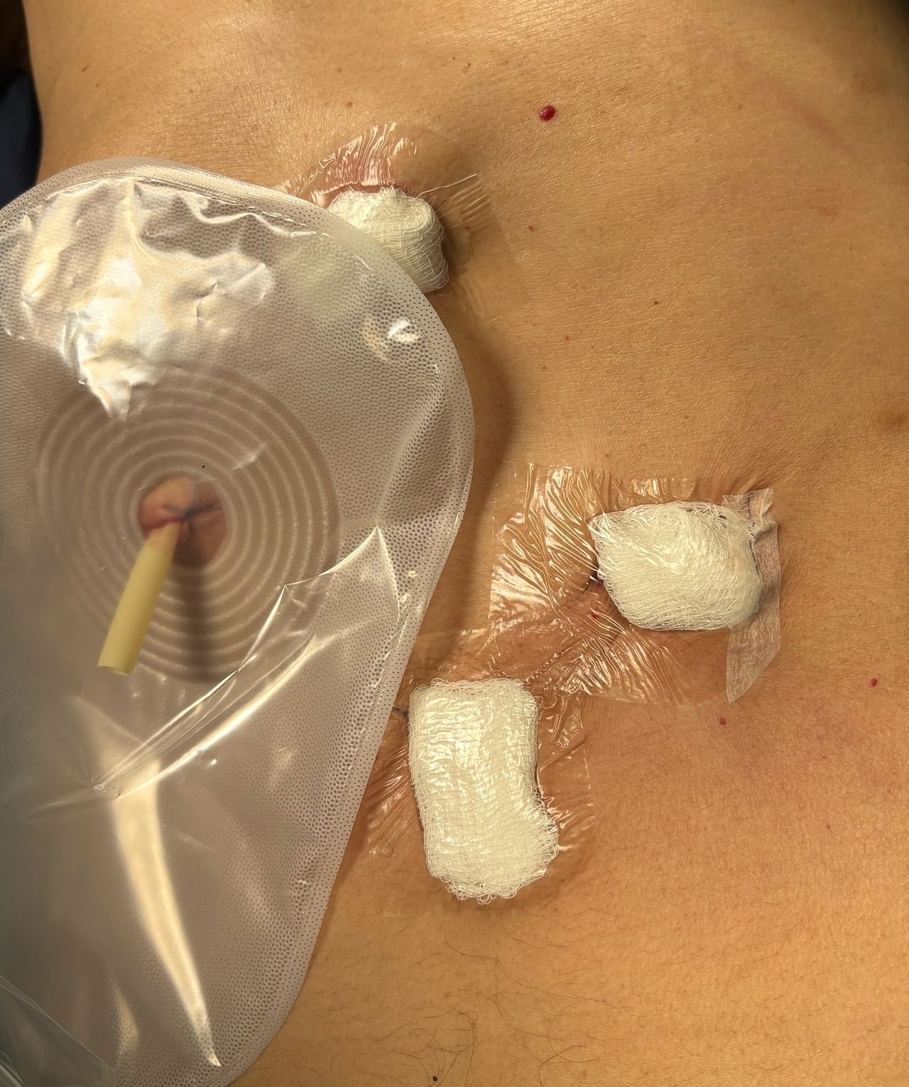 Edgar Raziel Acosta May-5