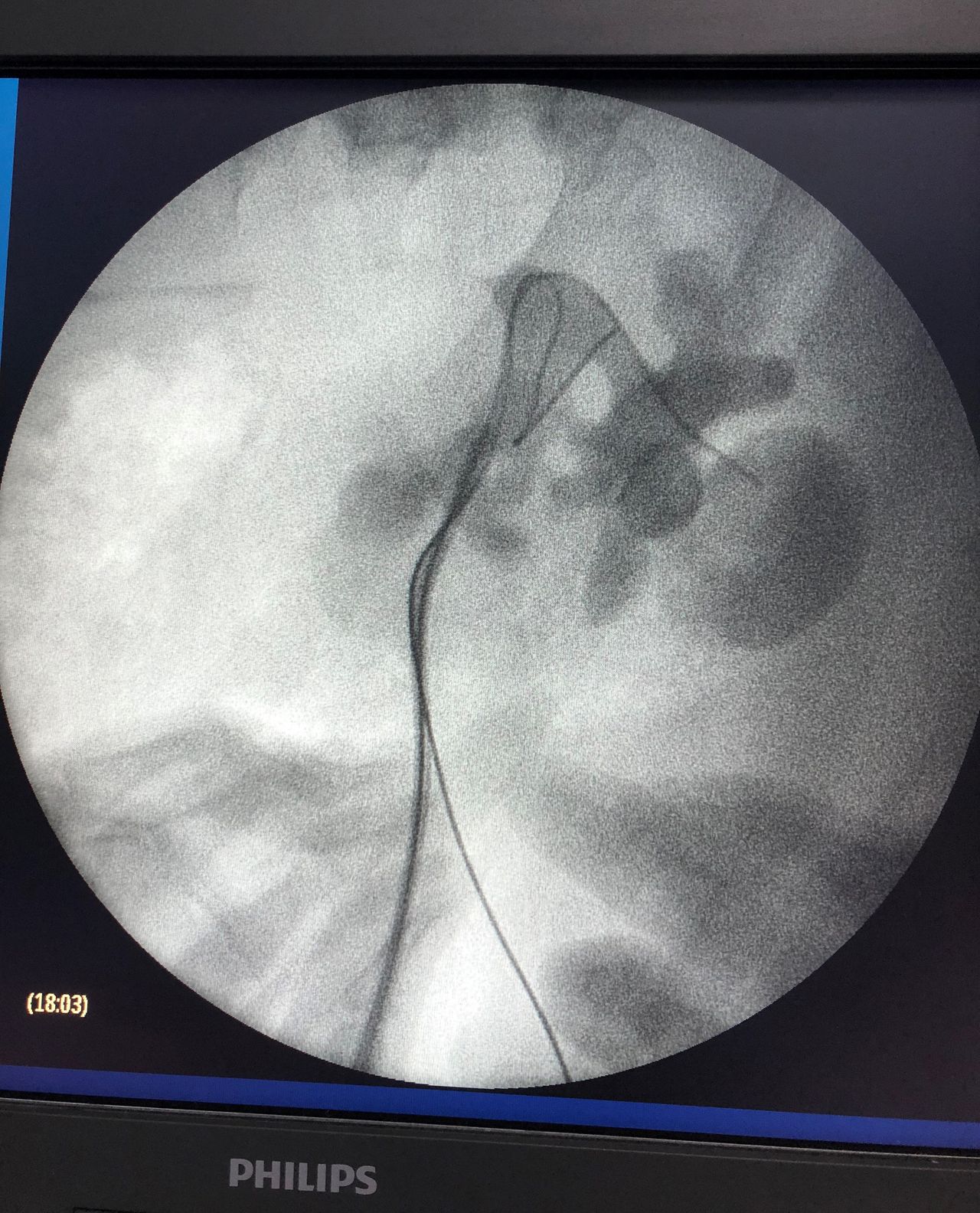 María Teresa Moreno Y Suárez-3