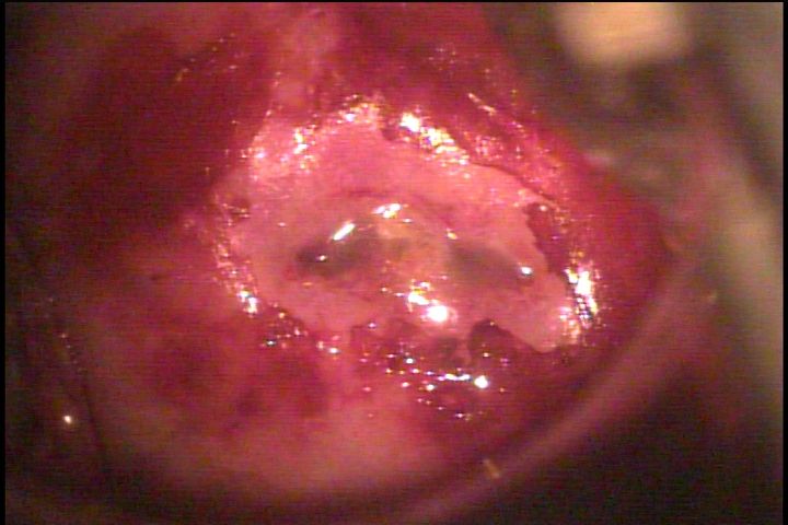 Luis Reynerio Téllez Gómez-1