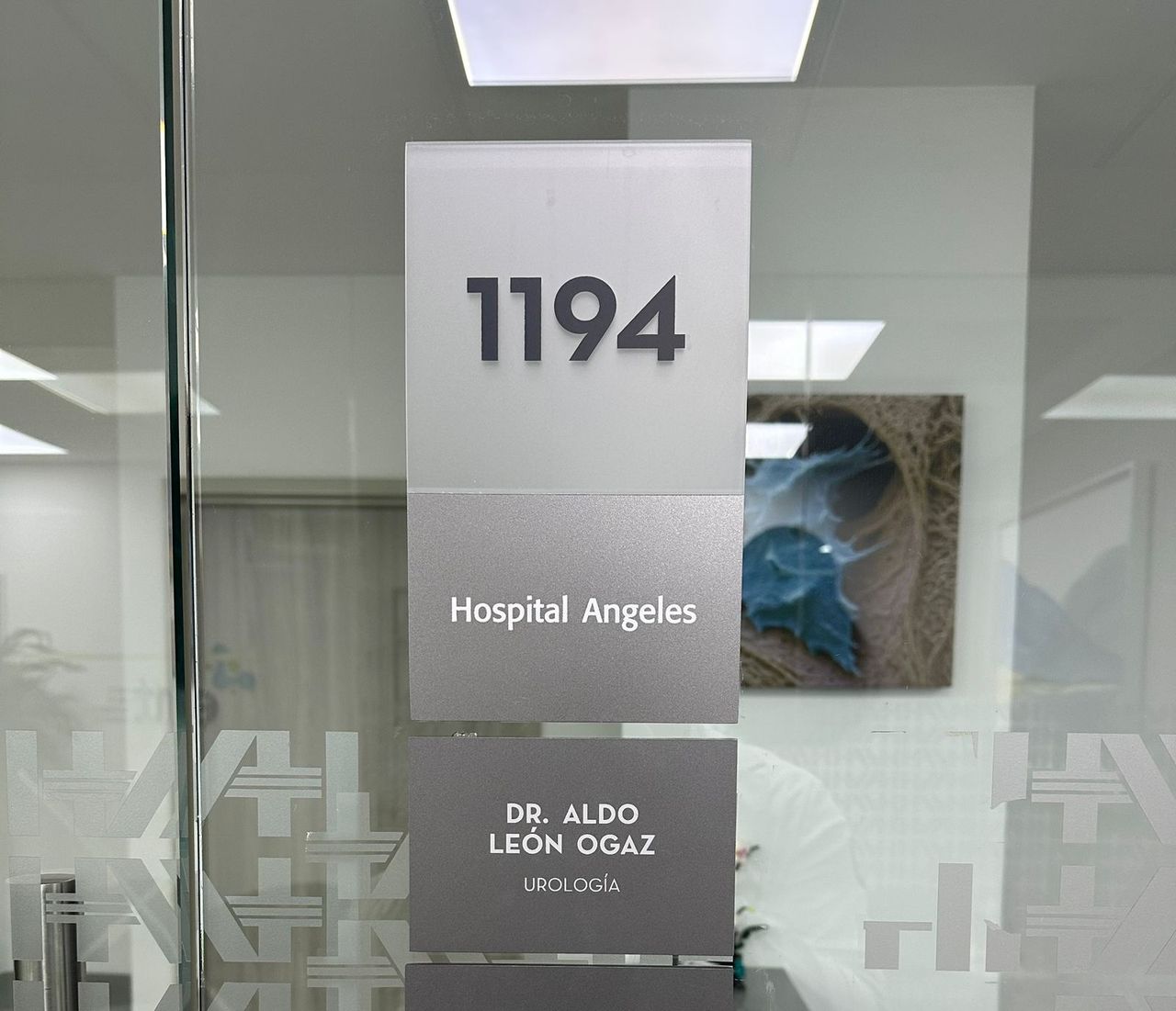 Aldo Leon Ogaz-4