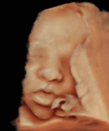 Lourdes Vianey Zaldivar Estrada-1