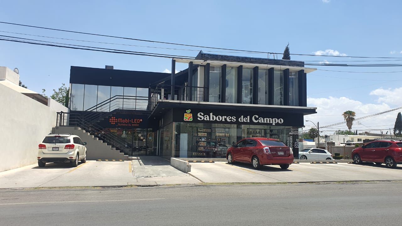 Damián Sánchez López-0