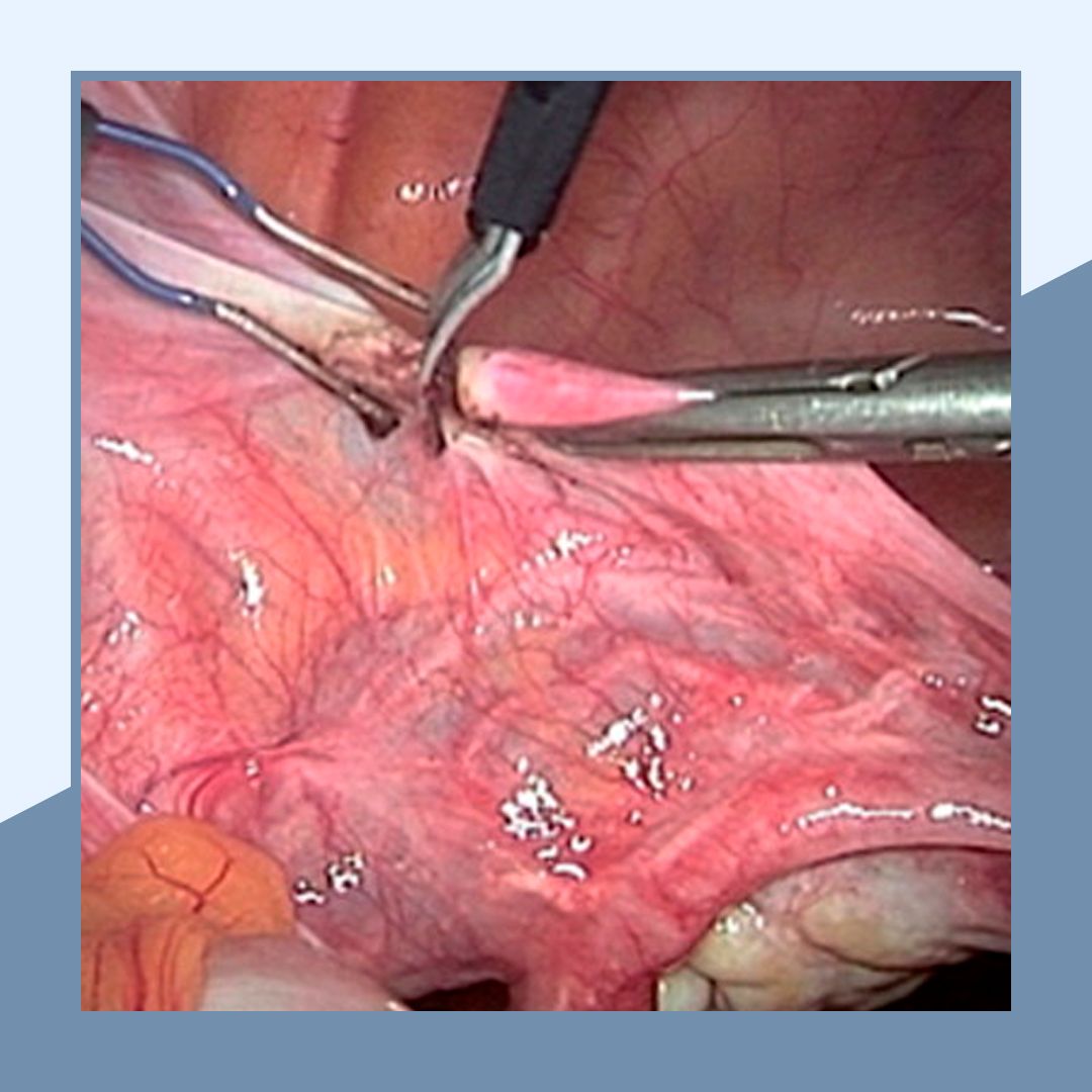 Eduardo Williams Victoria-2